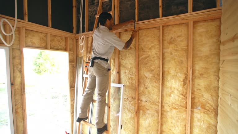 Best Radiant Barrier Insulation  in Cleburne, TX