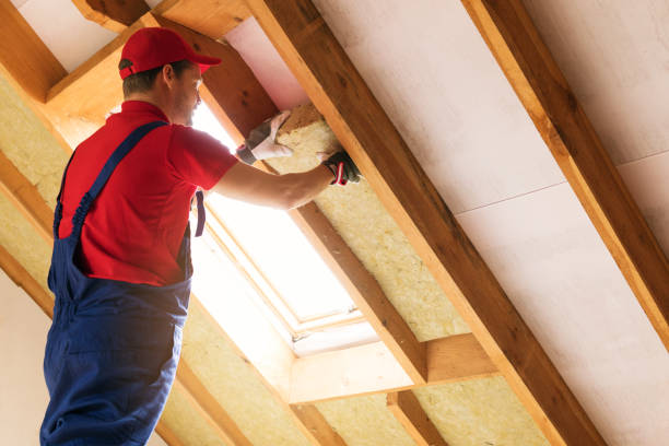 Best Insulation Air Sealing  in Cleburne, TX